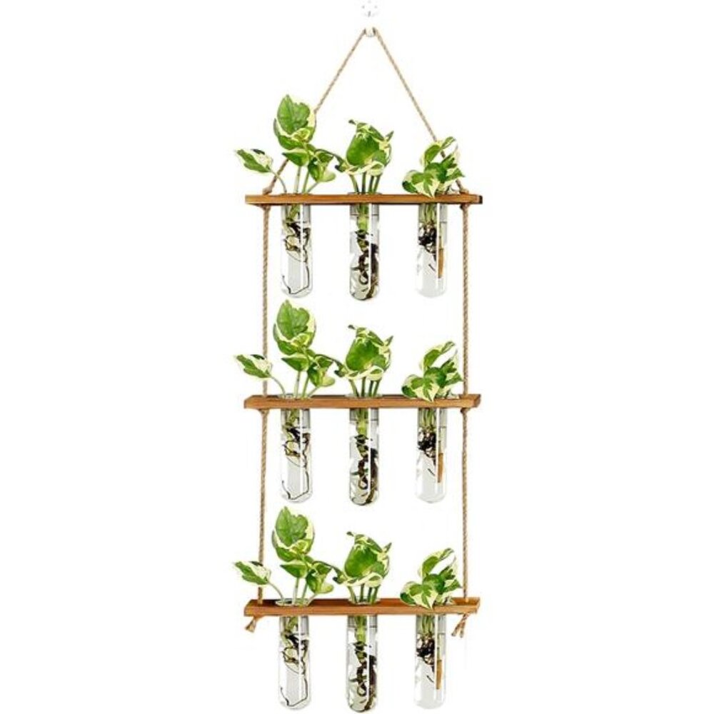 Wall Hanging Propagation Station with Wooden Stand Glass Test Tubes Tiered Plant